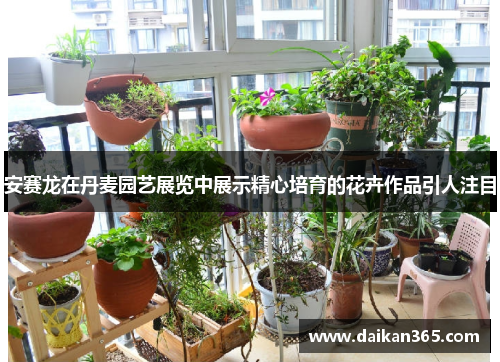 安赛龙在丹麦园艺展览中展示精心培育的花卉作品引人注目